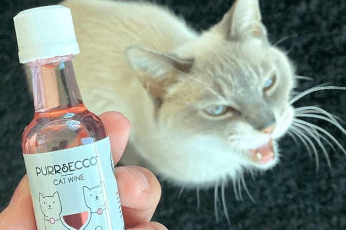 Purrsecco, Pinot Meow of Catbernet: Webshop verkoopt wijn voor… katten