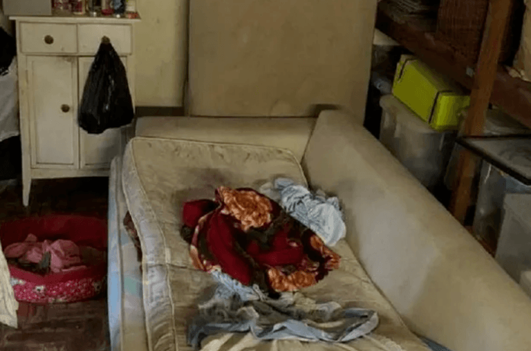 Vrouw (61) gered uit schuurtje nadat ze 22 jaar als slavin werkte voor familie