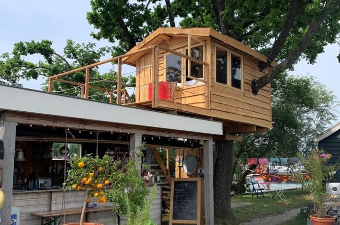 BIZAR. In het midden van deze stad kan je nu in een boomhut overnachten