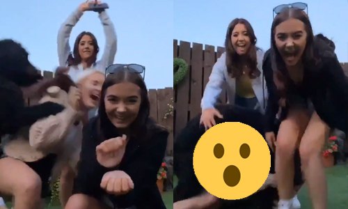 HILARISCH: Dames willen leuk TikTok-filmpje maken, maar HITSIGE hond steelt de show (video)
