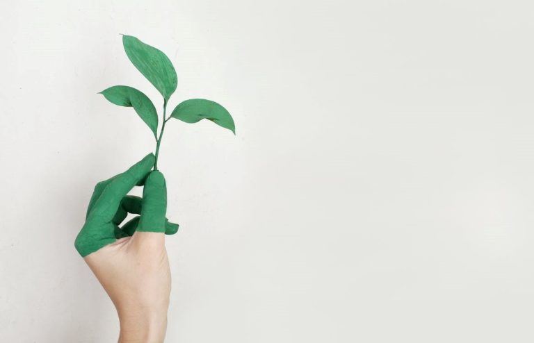 7 tips om duurzaam te leven