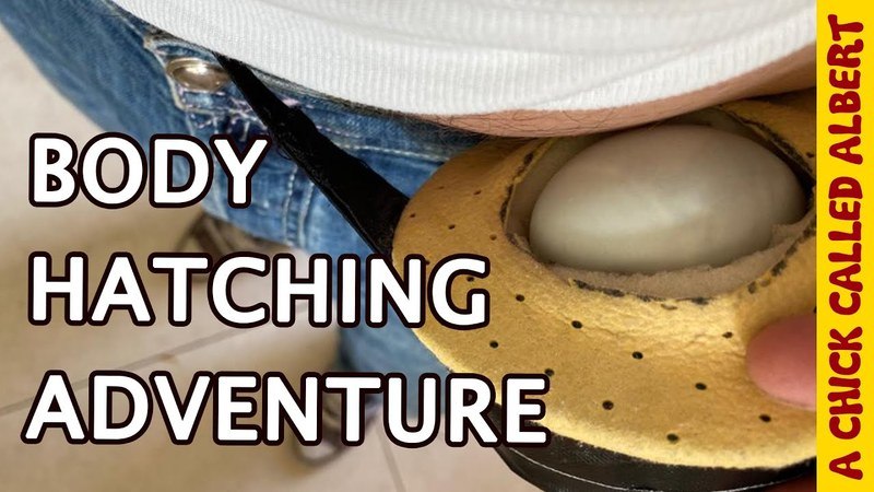 Man vervangt moedereend door zelf ei uit te broeden (video)