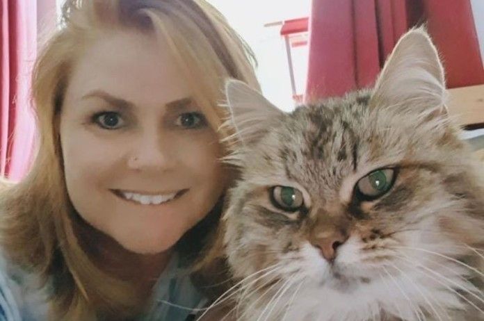 BIZAR. Deze kat leidde een hilarisch dubbelleven