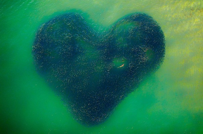 WOW. Dit zijn de beste dronefoto’s van 2020