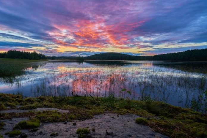 In deze stad krijg je een beloning als je het milieu respecteert
