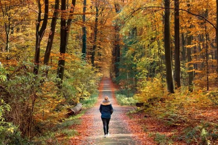 Een kwalitatieve wandeling per week volstaat voor een beter humeur