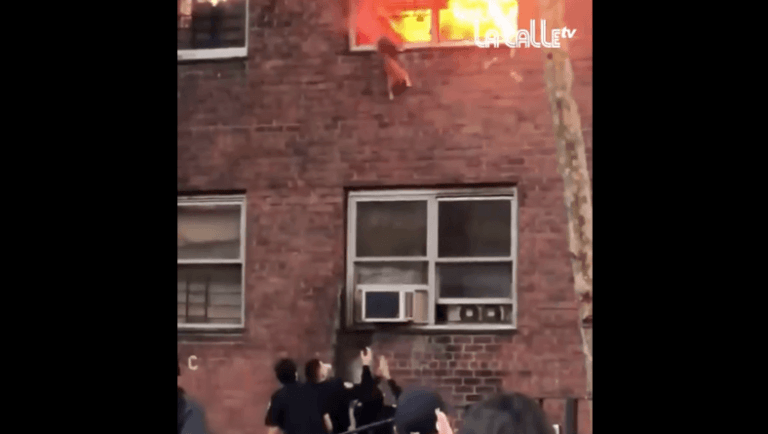 WOW. Zwartgeblakerde kat redt zichzelf uit brandend gebouw met spectaculaire sprong (video)