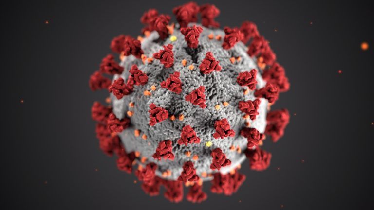 Europa wordt overspoeld door een ander soort coronavirus dan China