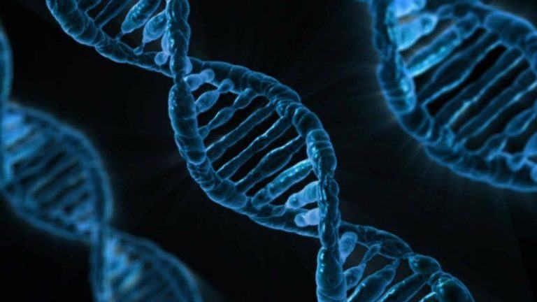 Twee vrouwen winnen Nobelprijs voor herschrijven van de code van het leven