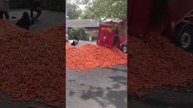 BIZAR. Mysterie van 29 ton gedumpte wortels in Londense straat is opgehelderd (video)