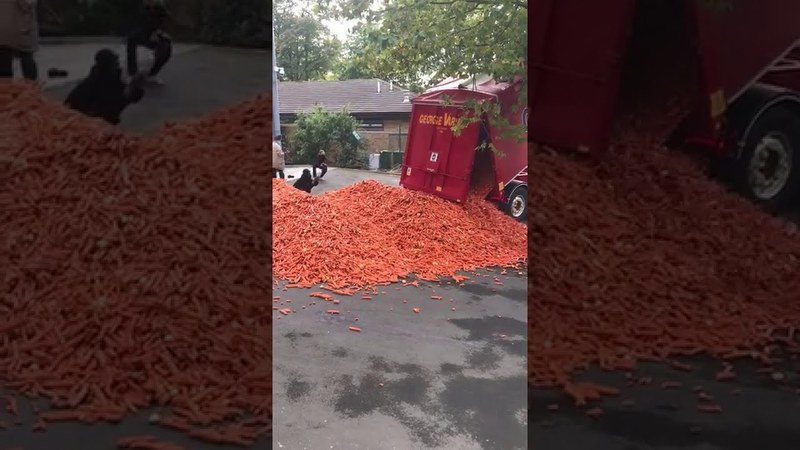 BIZAR. Mysterie van 29 ton gedumpte wortels in Londense straat is opgehelderd (video)