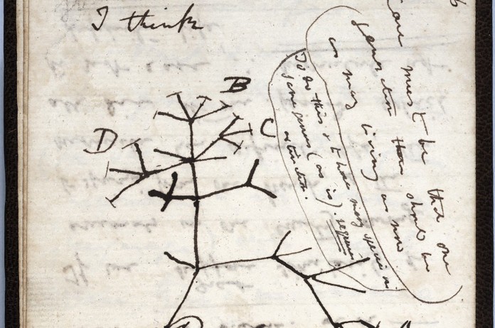 BIZAR. Notitieboekjes van Darwin al 20 jaar spoorloos: “We dachten dat ze in het verkeerde boekenrek stonden”
