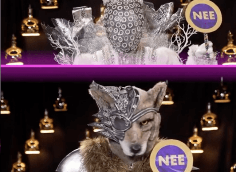 ‘The Masked Singers’ verraden laatste geheimen voor de finale (video)