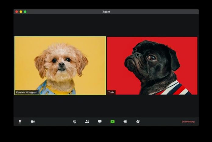 Dit is de schadelijke bijwerking van die voortdurende Zoom-calls