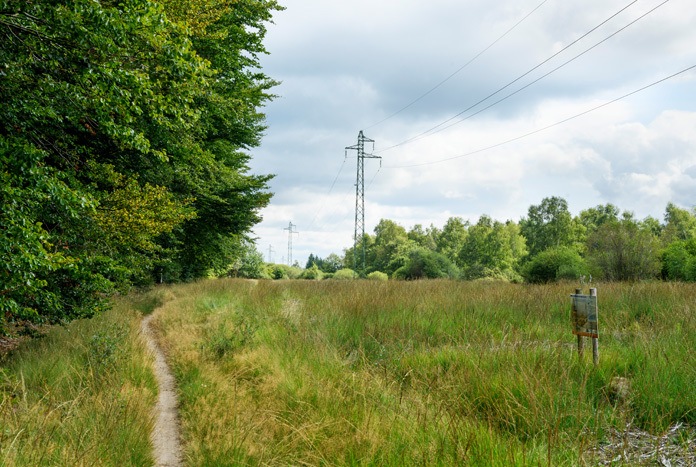 «Stroom moet betaalbaar maar vooral ook duurzaam zijn»