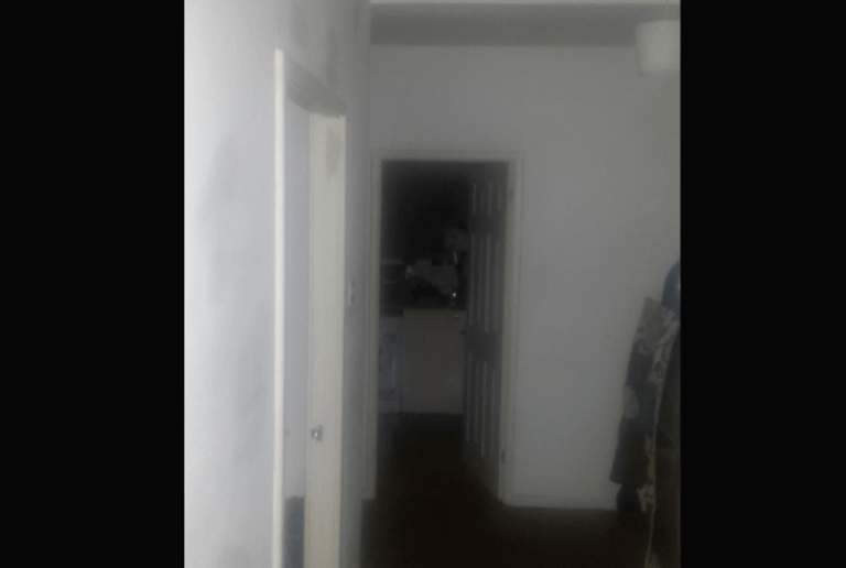 WTF. Man hoort rare geluiden in keuken, neemt foto en pakt zijn biezen nadat hij ziet wat erop staat (foto)