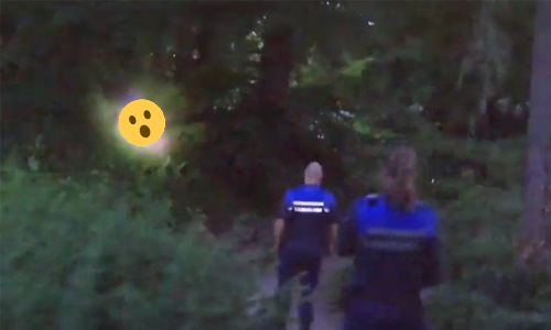 Handhavers halen VRIJEND duo uit de bosjes: “Uiteraard zijn we geen koppel” (video)