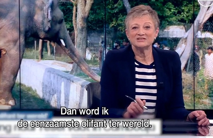 Hilarische parodie van afscheid Martine Tanghe: “De VRT stort morgen twee miljard euro op mijn rekening” (video)