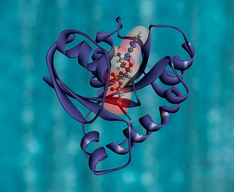 Met deze genen loop je groter risico op ernstig verloop COVID-19