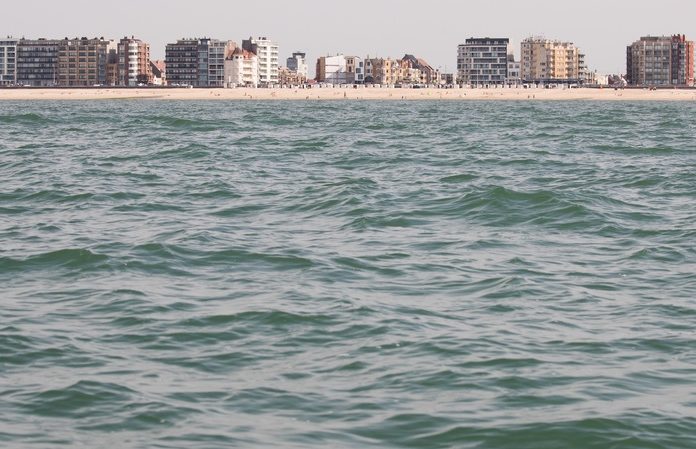 Noordzee herbergt steeds meer exotische dieren en planten