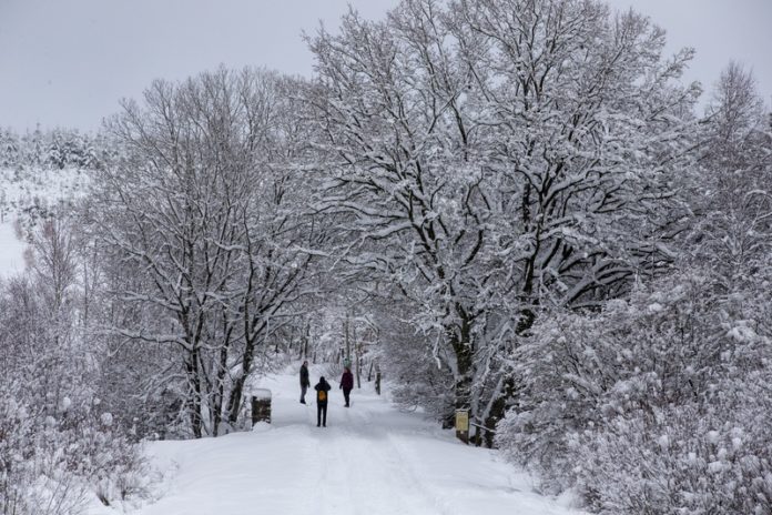 Capaciteit Hoge Venen komend weekend beperkt tot 2.400 auto’s