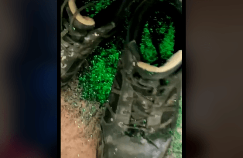 Vrouw neemt op ‘schitterende’ wijze wraak op overspelige ex: “Hier kan je de politie voor bellen” (video)