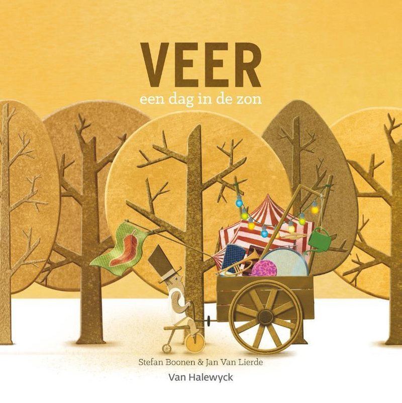 bol.com | Veer - Een dag in de zon, Stefan Boonen | 9789463831505 | Boeken