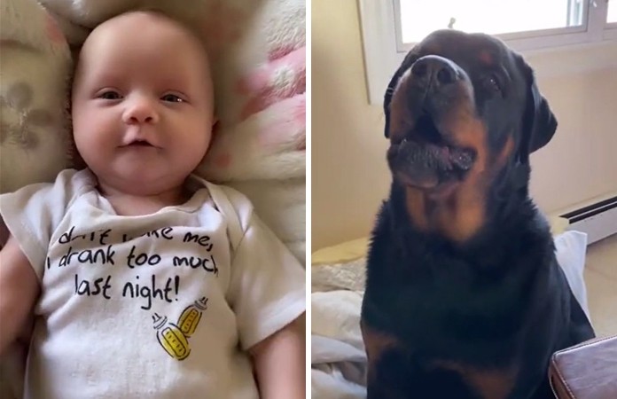 Baby probeert voor het eerst ‘mama’ te zeggen, maar hond is haar voor (video)