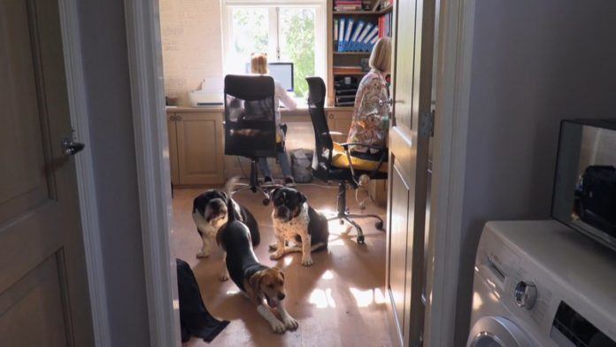 Familie Meiland neemt afscheid van gezinslid