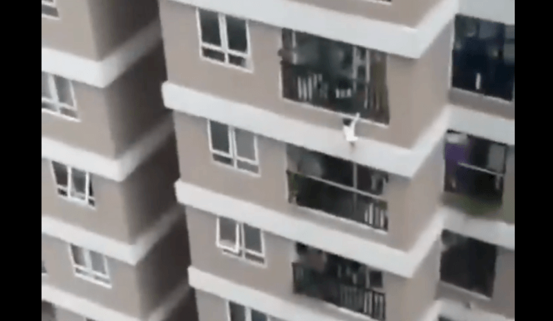 WOW. Heldhaftige pakjesbezorger vangt kleuter die 50 meter naar beneden stort (video)