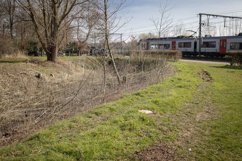 Die minderjarigen opgepakt voor moord in Beveren, homohaat lijkt motief