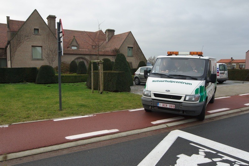 Natuurhulpcentrum doet “historisch gevaarlijke” inbeslagname in Limburgs tuinhuis (video)