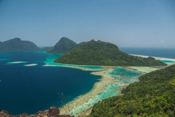 JOEPIE! Dit vogeltje blijkt na 180 jaar toch niét uitgestorven