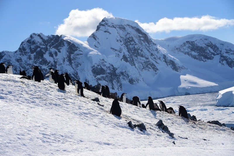 Meteoriet explodeerde boven de zuidpool met kracht van 1.000 Hiroshima-kernbommen