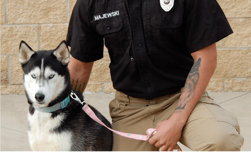 Adoptiehond gaat viraal door knappe asielmedewerker: “Kan ik die man adopteren?” (foto)