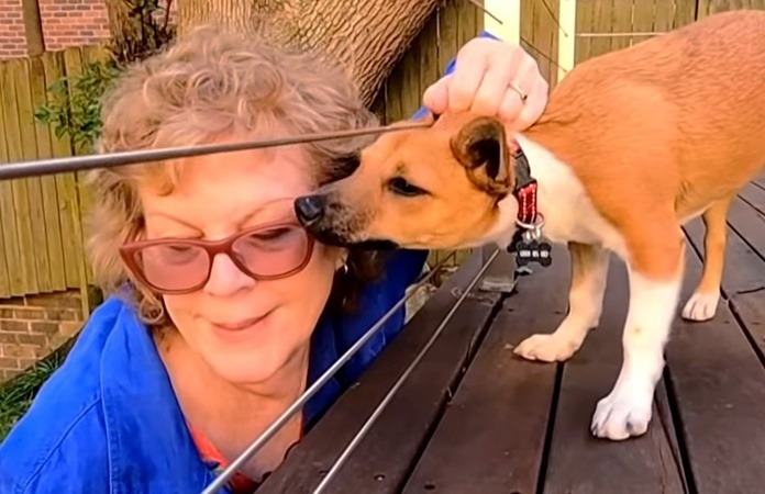 Baasje treft vreselijke boodschap aan bij hond: “Sorry, maar ik kon niet anders” (foto)