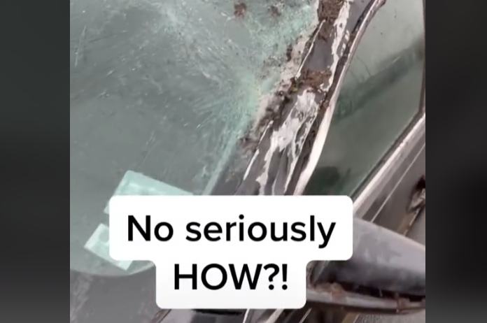 WTF. TikTokker treft twee beschadigde auto’s aan op parking, DIT is de hallucinante oorzaak