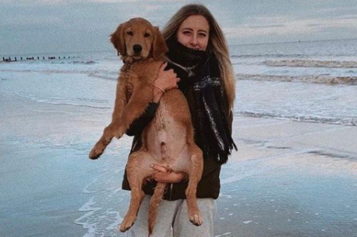 Hond eet AirPods op en moet operatie ondergaan, maar dan doet baasje bijzondere ontdekking