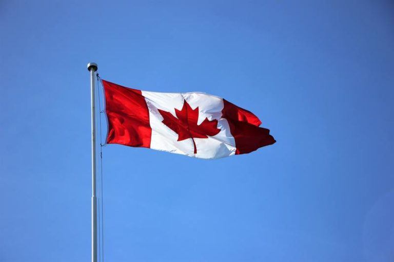 Canadees parlementslid gaat volledig naakt in videovergadering: “Ik ben beschaamd” (foto)