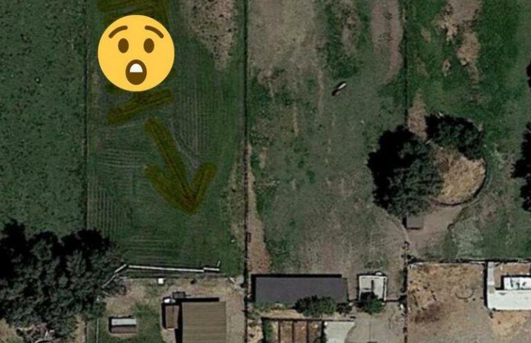 Gezin heeft duidelijke boodschap voor buren, maar die is enkel te zien op Google Maps (foto)