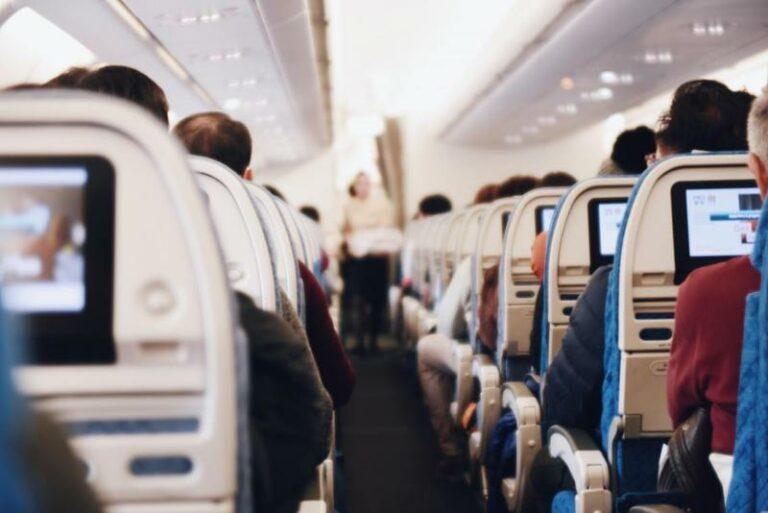 BIZAR. Vliegtuig moet vlucht afbreken vanwege onverwachte extra passagier (video)