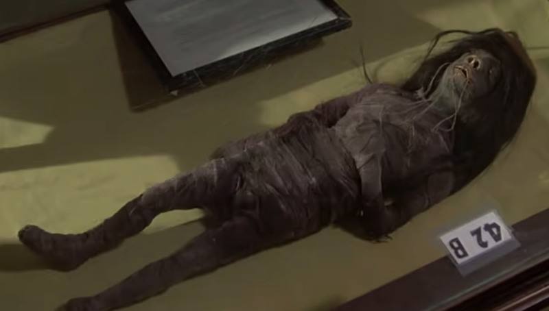 Decor uit horrorfilm blijkt gemaakt te zijn van menselijk weefsel (foto)