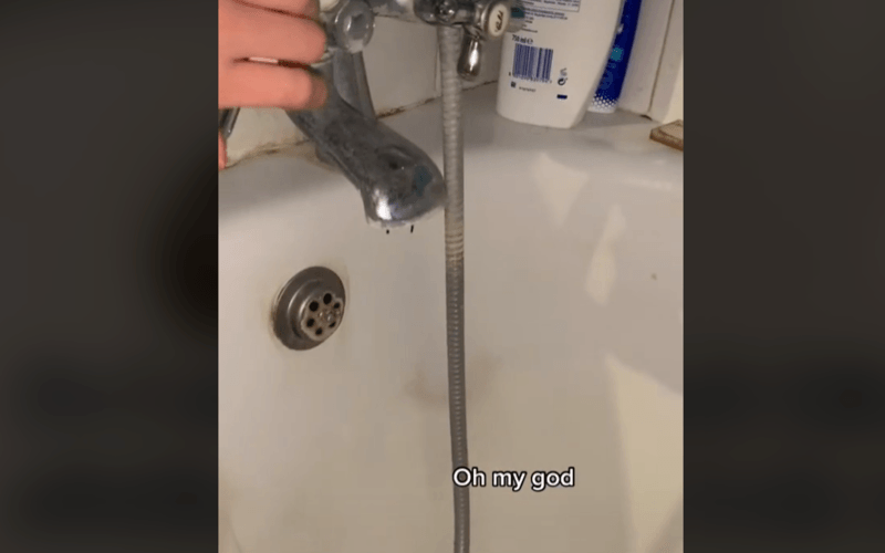 Vrouw ziet vreemde ‘zwarte draden’ uit kraan komen, maar ontdekt dan wat ze echt zijn: “Verhuis zo snel mogelijk” (video)