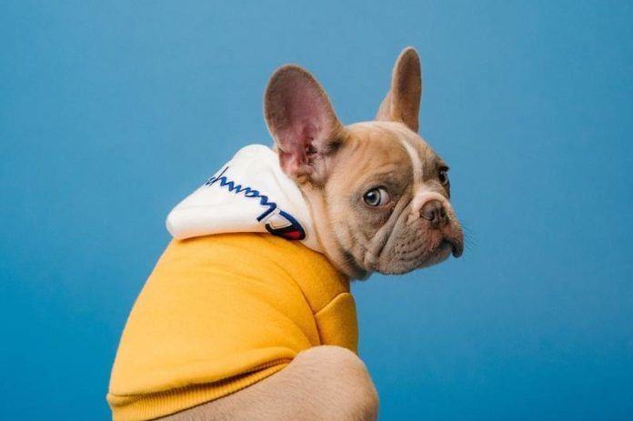 Chinese verrassingsbox zorgt voor woede bij dierenliefhebbers