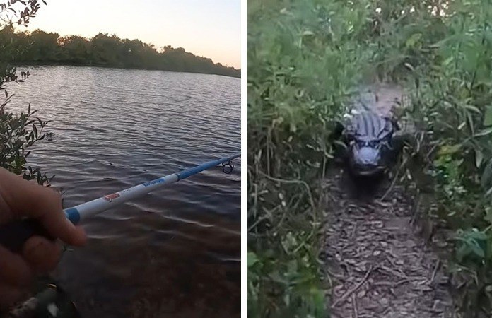 AKELIG! Man is rustig aan het vissen, maar dan duikt er plots een enorme krokodil op die hem achtervolgt (video)