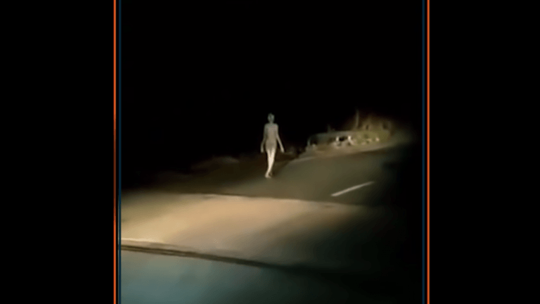 BIZAR. Vreemd wezen gespot in India (video)