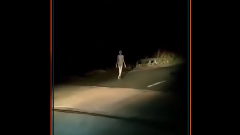 BIZAR. Vreemd wezen gespot in India (video)