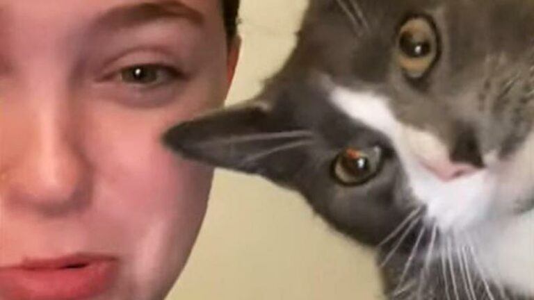 Baasje doet kat na, maar die kan daar absoluut NIET mee lachen (video)