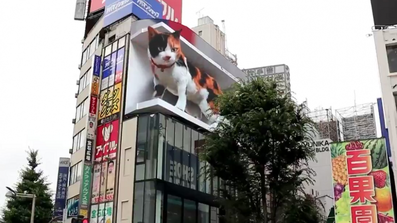 Indrukwekkend of creepy? Gigantische kat miauwt naar voorbijgangers in Tokio (video)