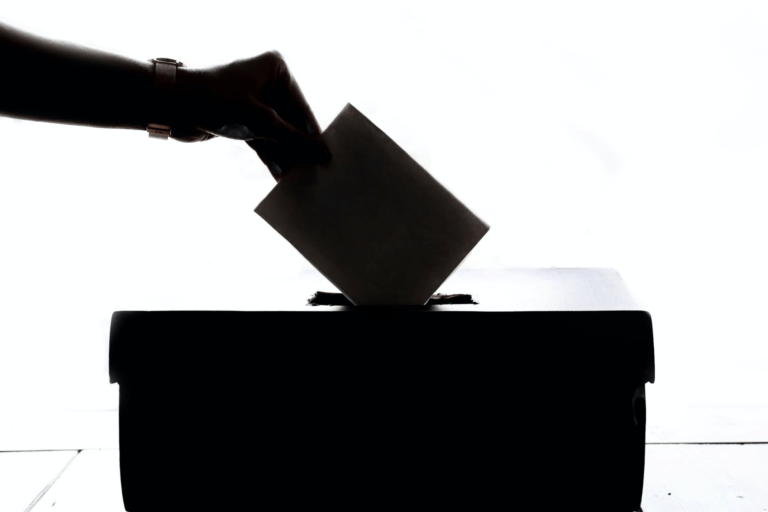 Bizarre verkiezingsbeloftes